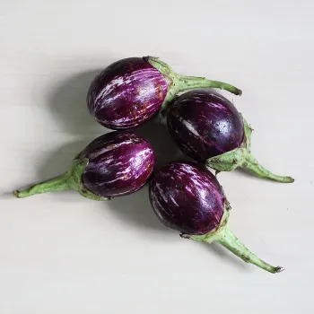 Brinjal (48)-8604587-12367.webp